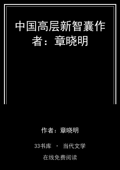 中国高层新智囊作者：章晓明封面