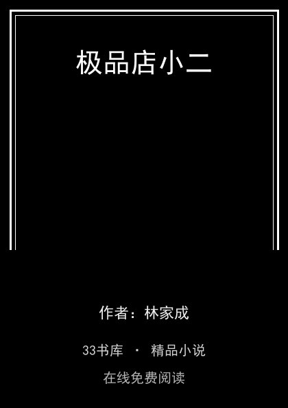 极品店小二封面