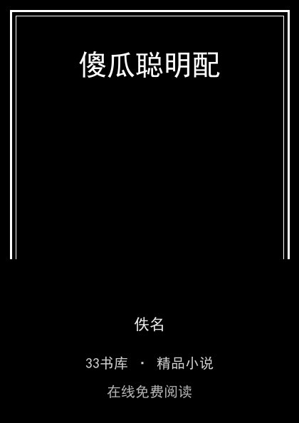 傻瓜聪明配封面
