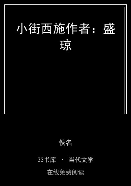 小街西施作者：盛琼 封面