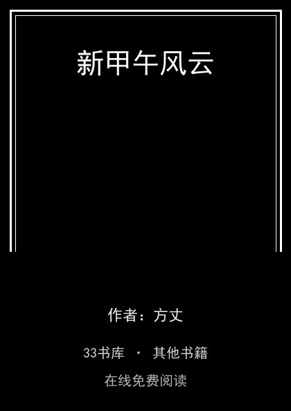 新甲午风云 封面