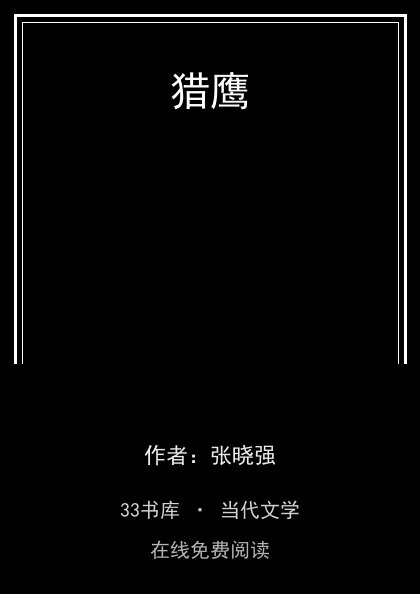 猎鹰封面