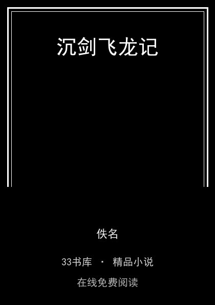沉剑飞龙记 封面