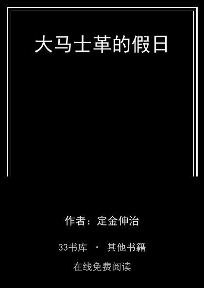 大马士革的假日封面