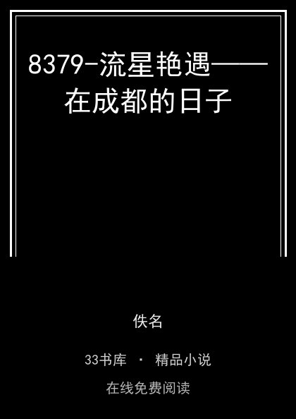 8379-流星艳遇——在成都的日子封面