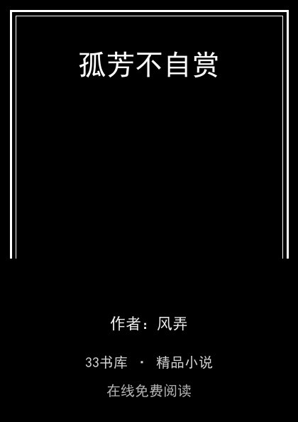 孤芳不自赏封面