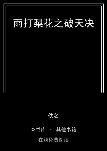 雨打梨花之破天决 封面
