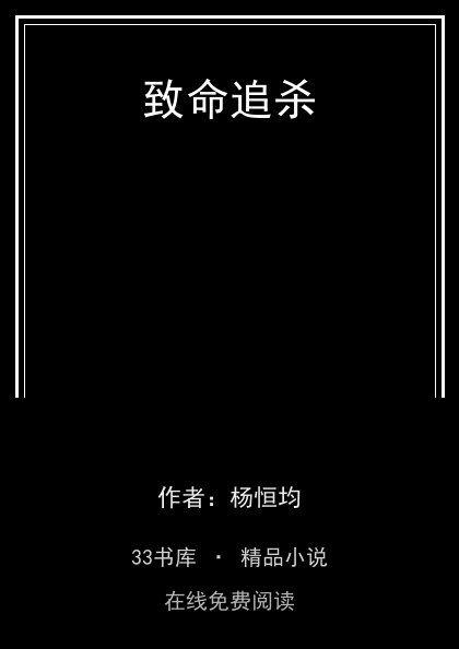致命追杀封面