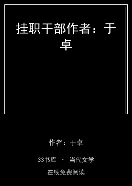 挂职干部作者：于卓 封面