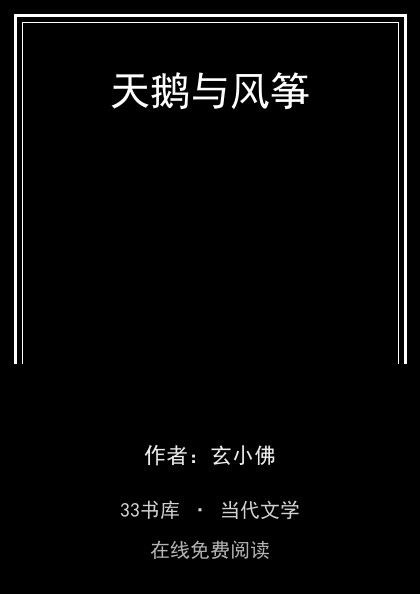 天鹅与风筝 封面