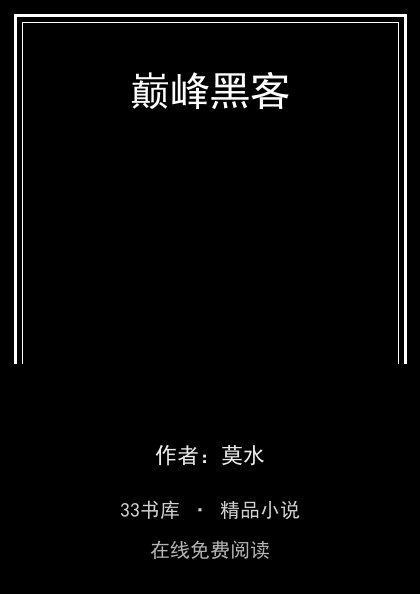 巅峰黑客封面