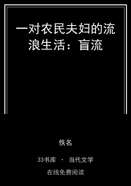 一对农民夫妇的流浪生活：盲流封面