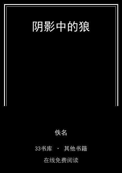 阴影中的狼 封面