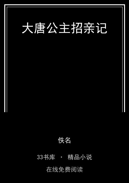大唐公主招亲记封面