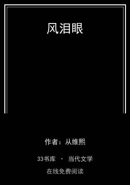 风泪眼封面