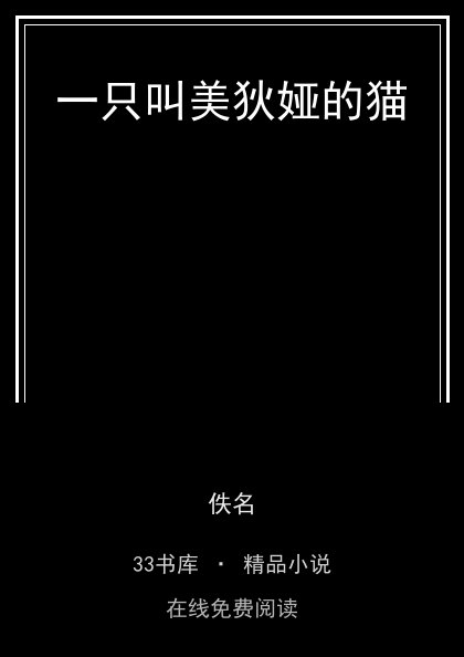 一只叫美狄娅的猫封面