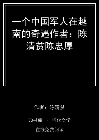 一个中国军人在越南的奇遇作者：陈清贫陈忠厚封面