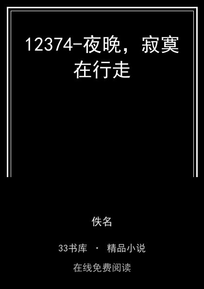 12374-夜晚，寂寞在行走 封面