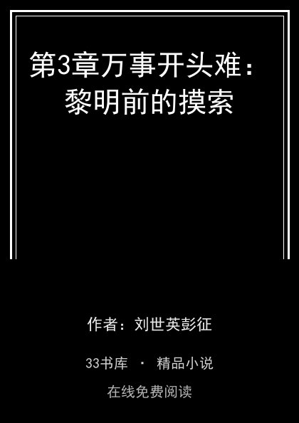第3章万事开头难：黎明前的摸索封面
