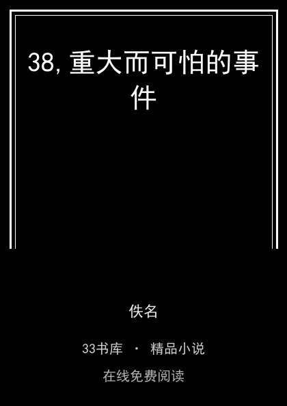 38,重大而可怕的事件封面