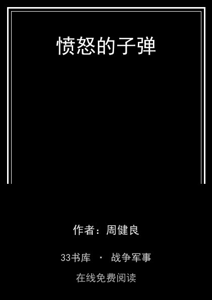 愤怒的子弹 封面