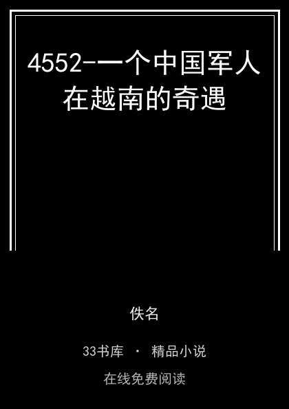 4552-一个中国军人在越南的奇遇封面