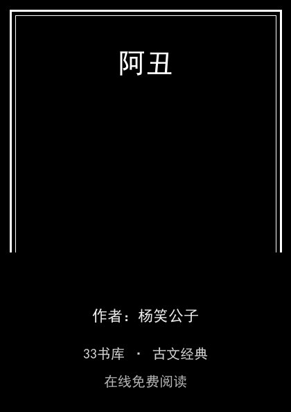 阿丑封面
