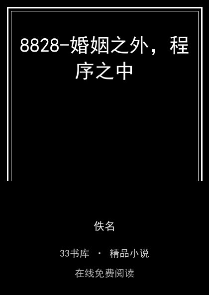 8828-婚姻之外，程序之中封面