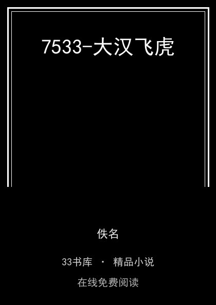 7533-大汉飞虎 封面
