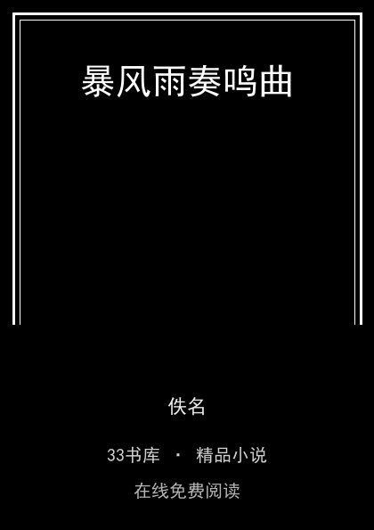 暴风雨奏鸣曲封面