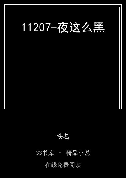 11207-夜这么黑 封面