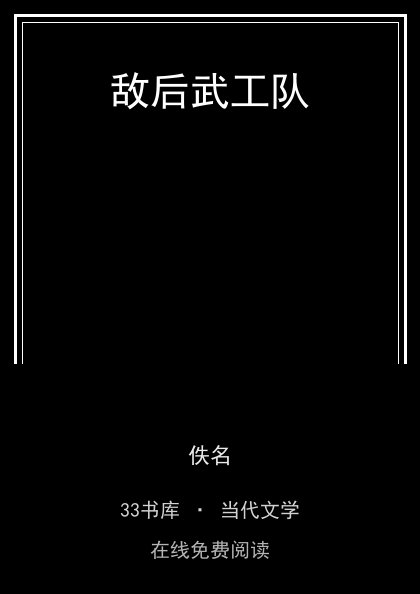 敌后武工队 封面