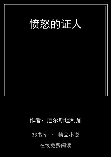 愤怒的证人 封面
