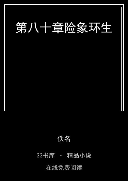 第八十章险象环生封面