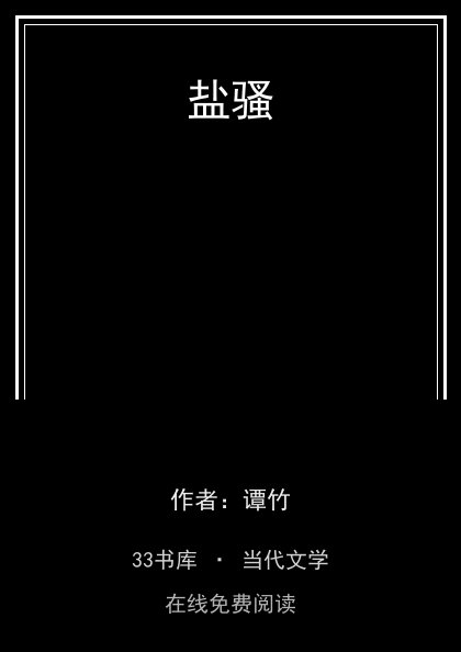 盐骚封面