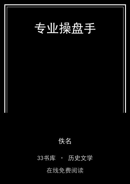 专业操盘手封面