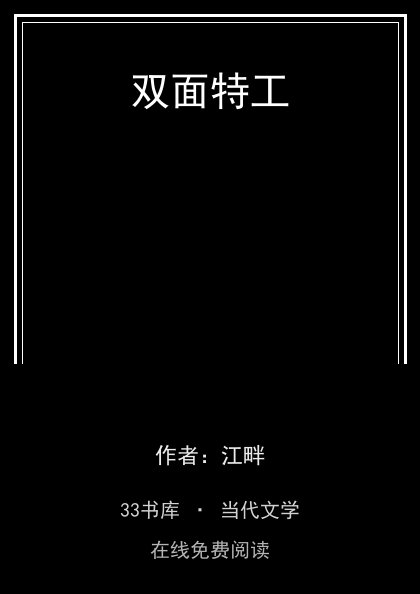 双面特工封面
