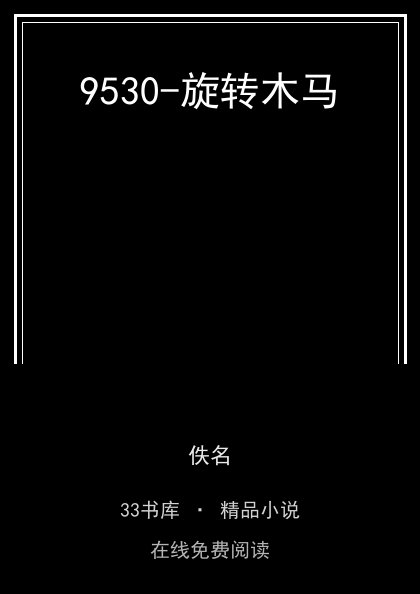 9530-旋转木马封面