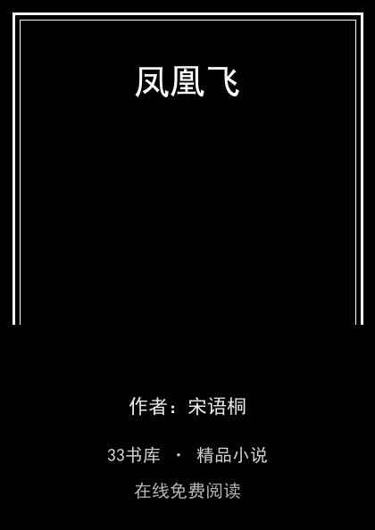 凤凰飞封面