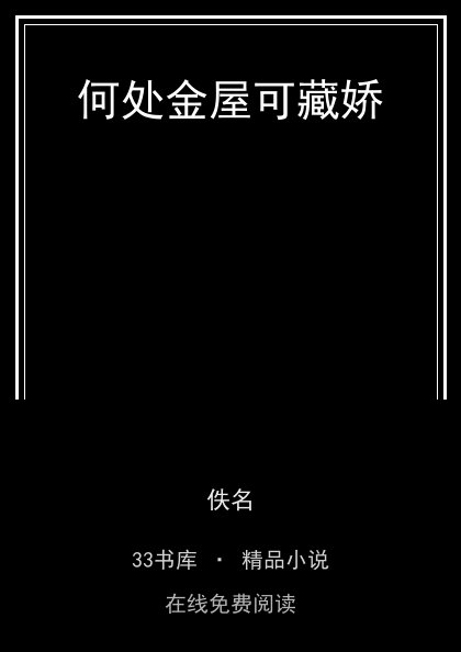 何处金屋可藏娇 封面