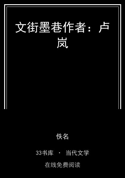 文街墨巷作者：卢岚封面