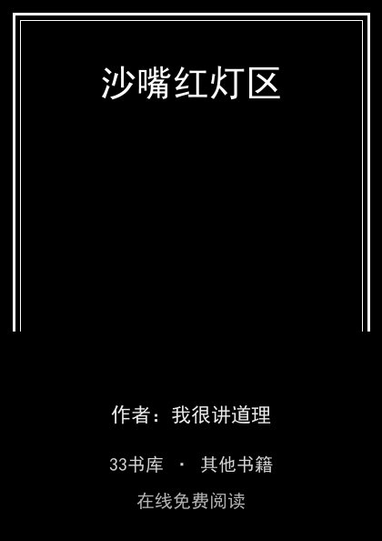 沙嘴红灯区封面