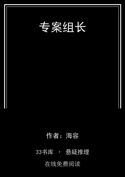 专案组长 封面