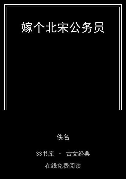 嫁个北宋公务员封面