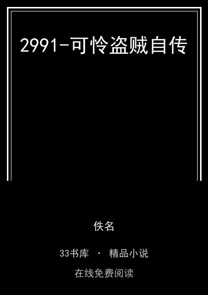 2991-可怜盗贼自传 封面