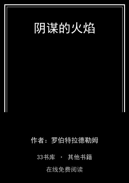 阴谋的火焰 封面