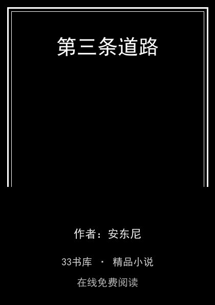 第三条道路封面
