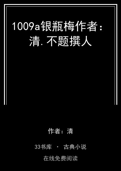 1009a银瓶梅作者：清.不题撰人封面