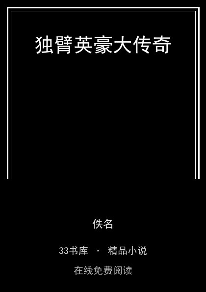 独臂英豪大传奇封面