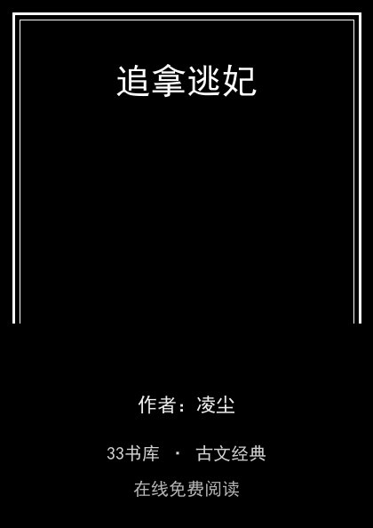 追拿逃妃封面